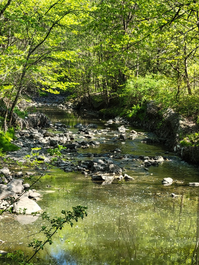 Taylor Creek Park Toronto