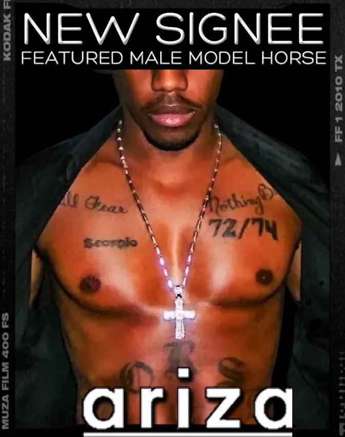 Ariza model poster featuring Horse Wren